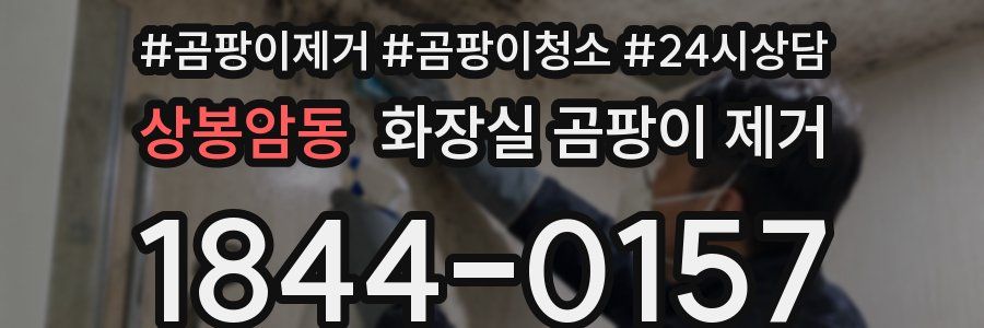 상봉암동 화장실 곰팡이 제거