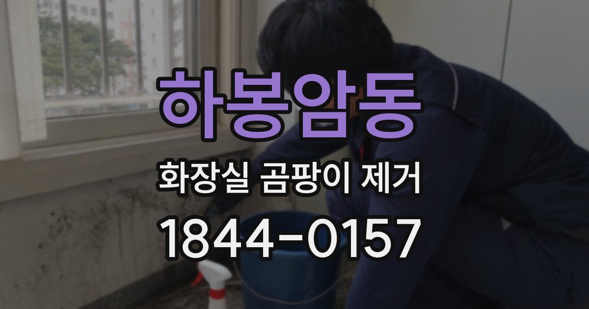 하봉암동 화장실 곰팡이 제거