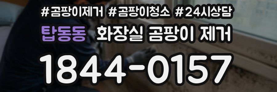 탑동동 화장실 곰팡이 제거