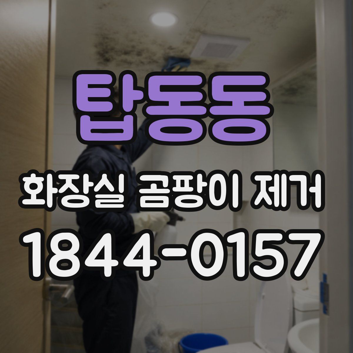 탑동동 화장실 곰팡이 제거