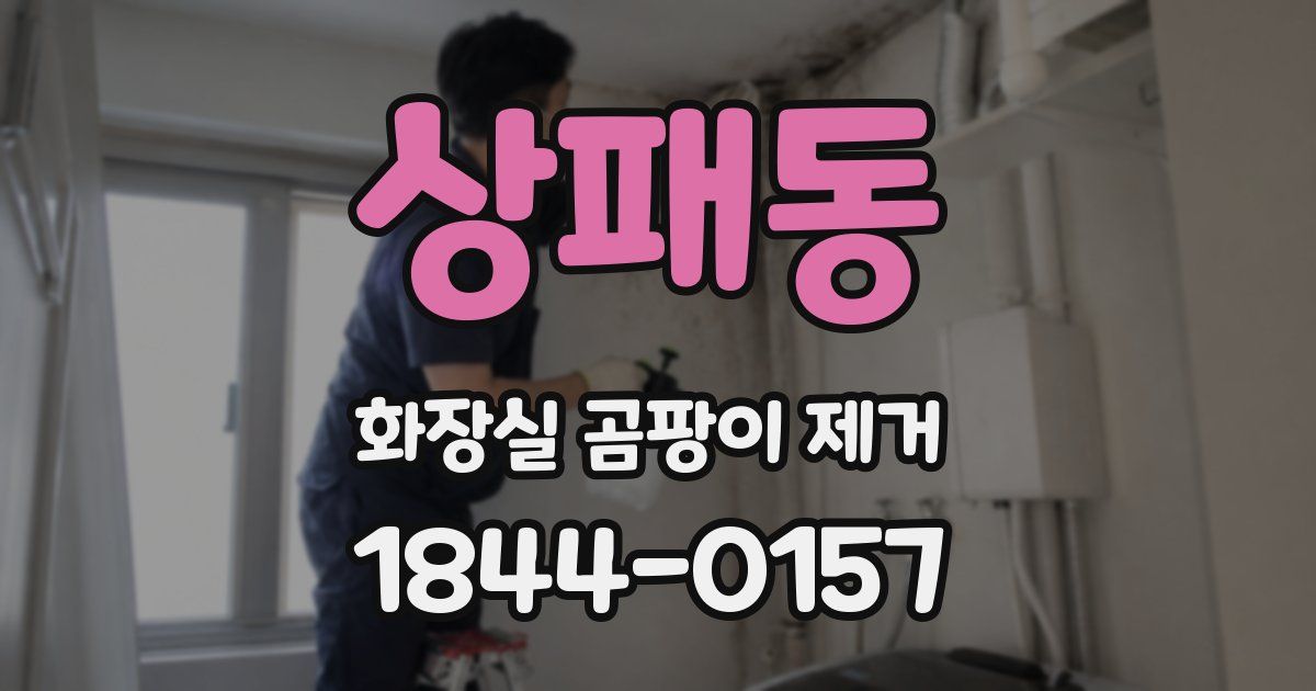 상패동 화장실 곰팡이 제거