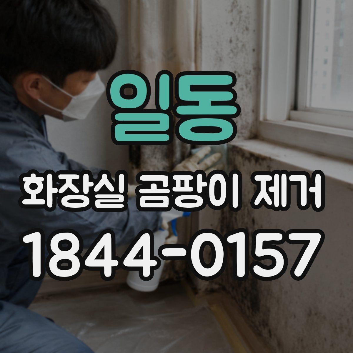 일동 화장실 곰팡이 제거 후 다시 생기는 이유 정리