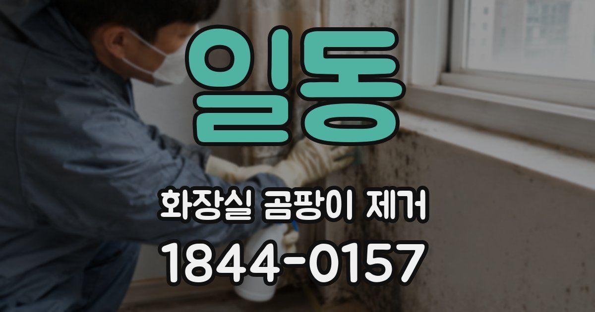 일동 화장실 곰팡이 제거