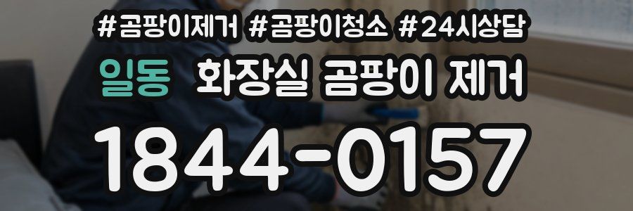 일동 화장실 곰팡이 제거