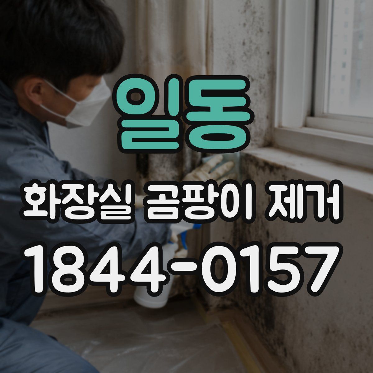 일동 화장실 곰팡이 제거