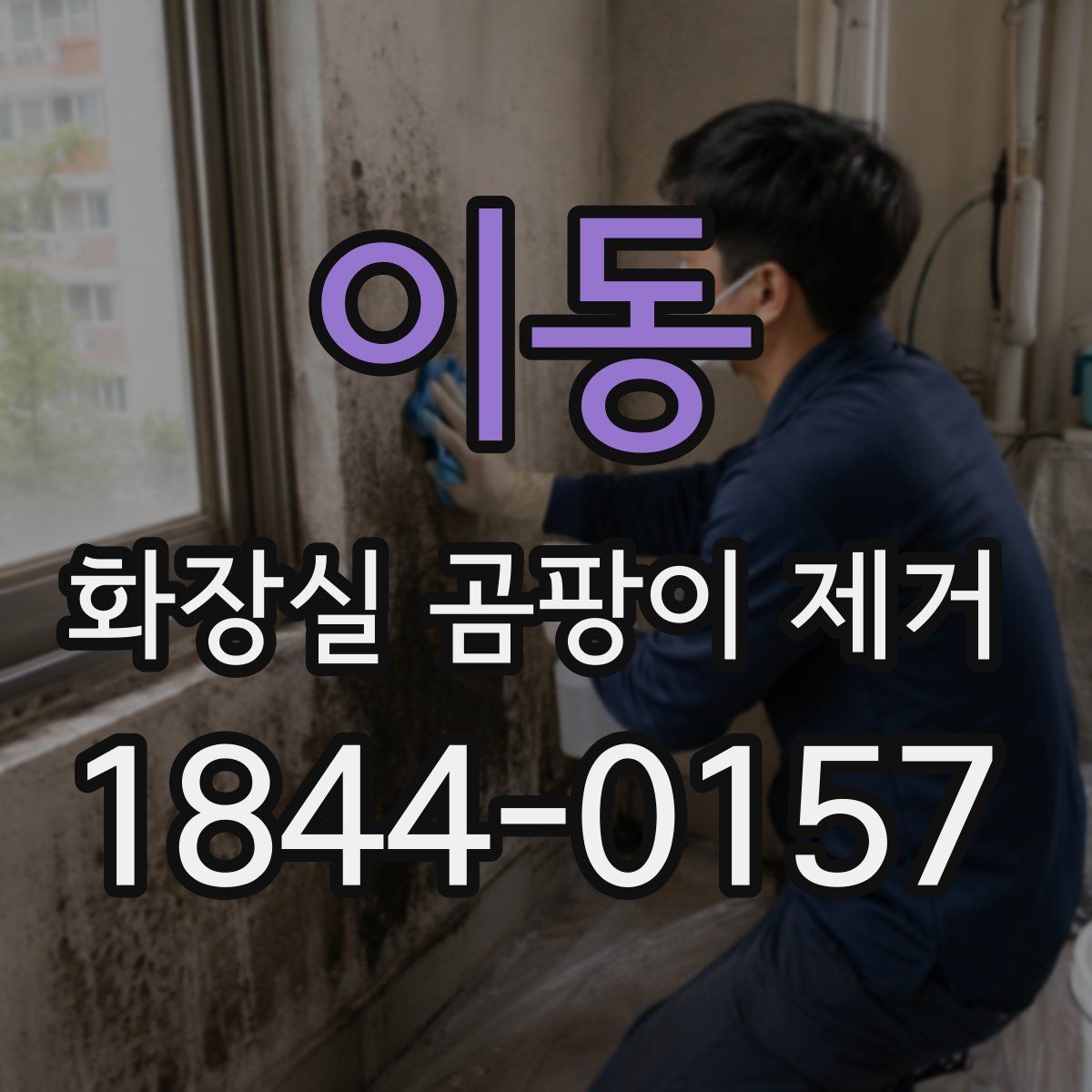 이동 화장실 곰팡이 제거