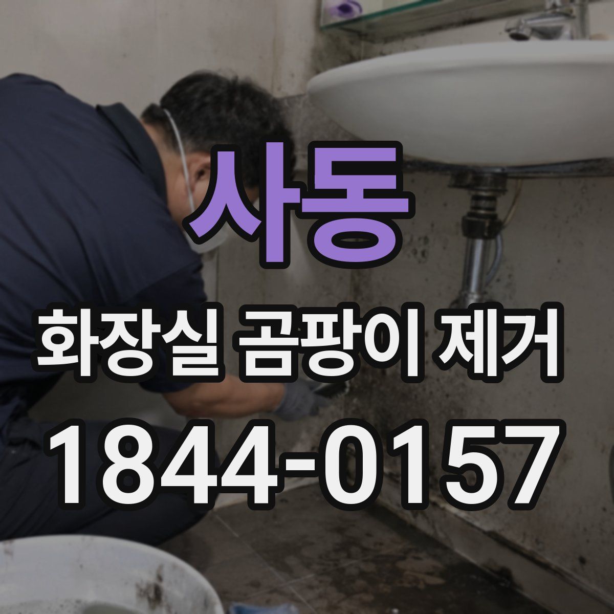 사동 화장실 곰팡이 제거