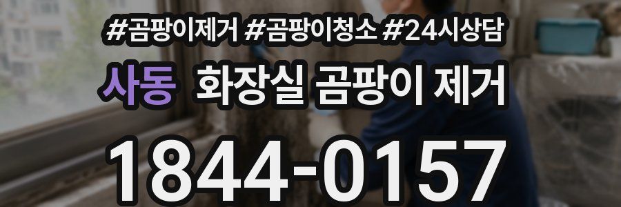 사동 화장실 곰팡이 제거