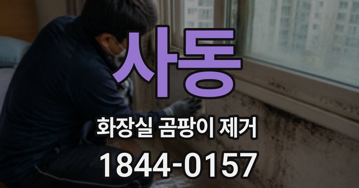사동 화장실 곰팡이 제거