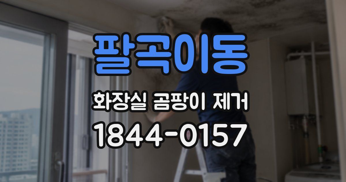팔곡이동 화장실 곰팡이 제거