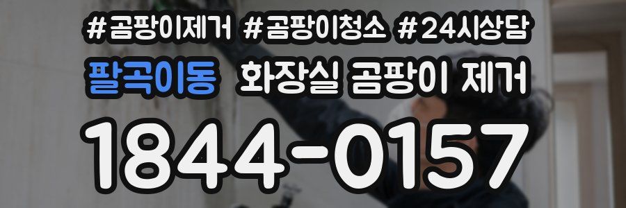 팔곡이동 화장실 곰팡이 제거