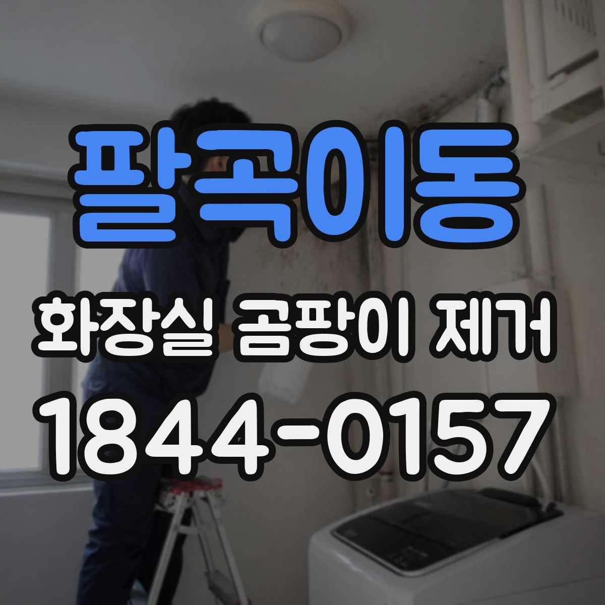 팔곡이동 화장실 곰팡이 제거