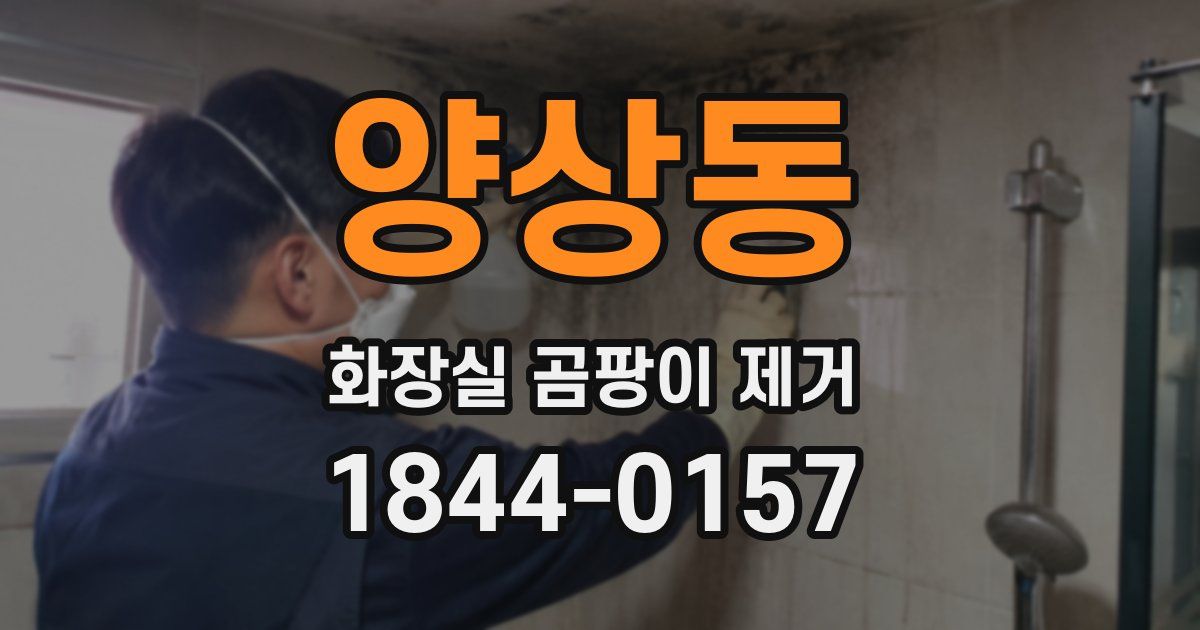 양상동 화장실 곰팡이 제거