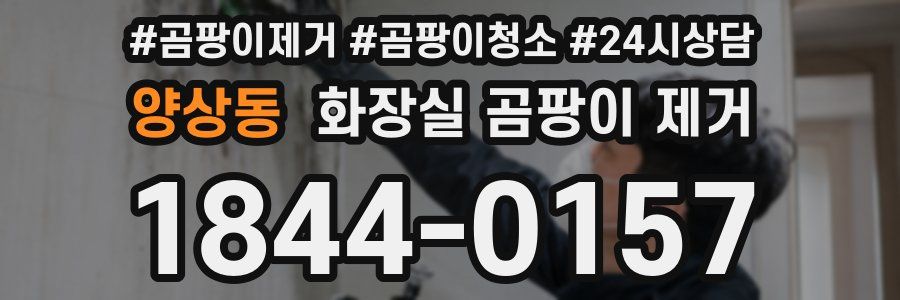 양상동 화장실 곰팡이 제거