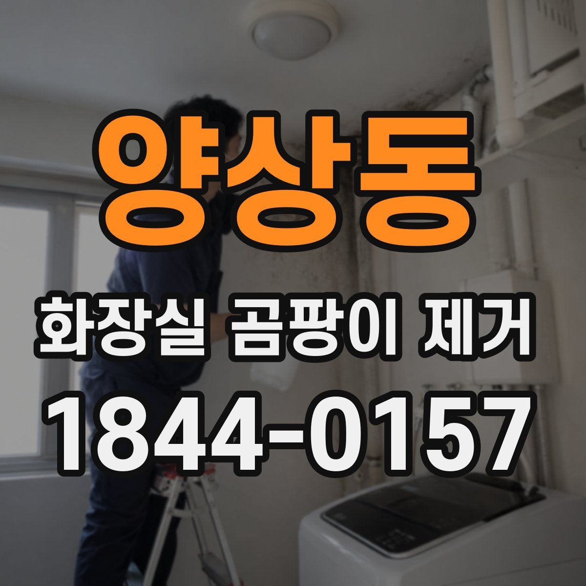 양상동 화장실 곰팡이 제거