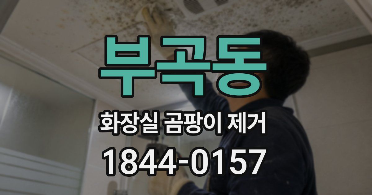 부곡동 화장실 곰팡이 제거