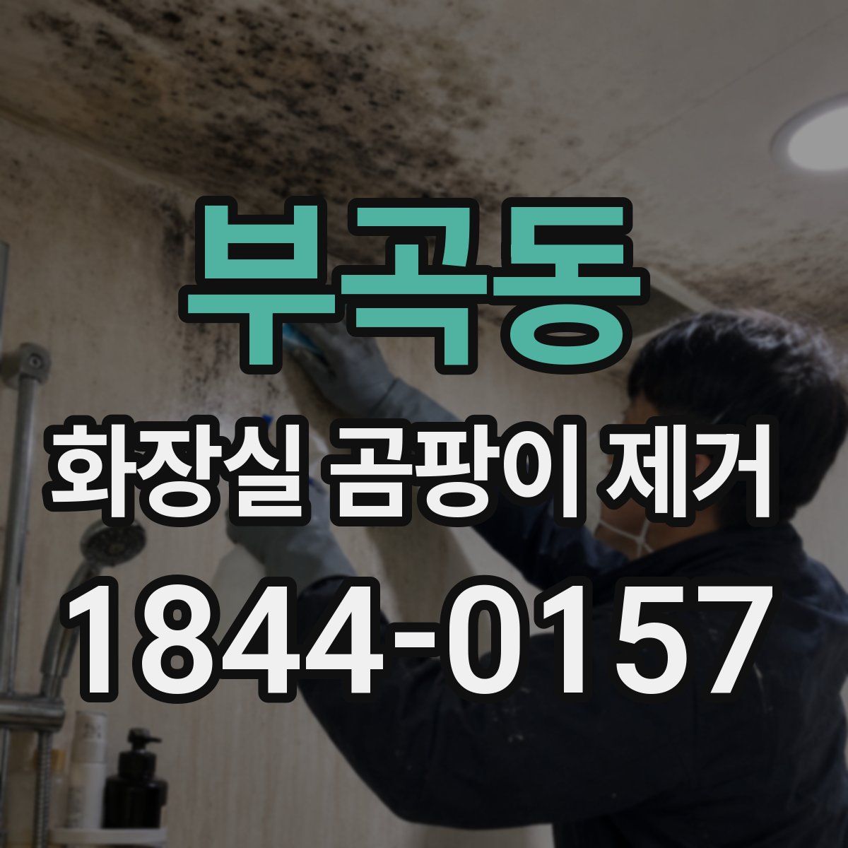 부곡동 화장실 곰팡이 제거