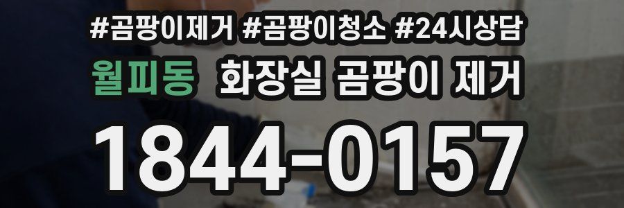 월피동 화장실 곰팡이 제거