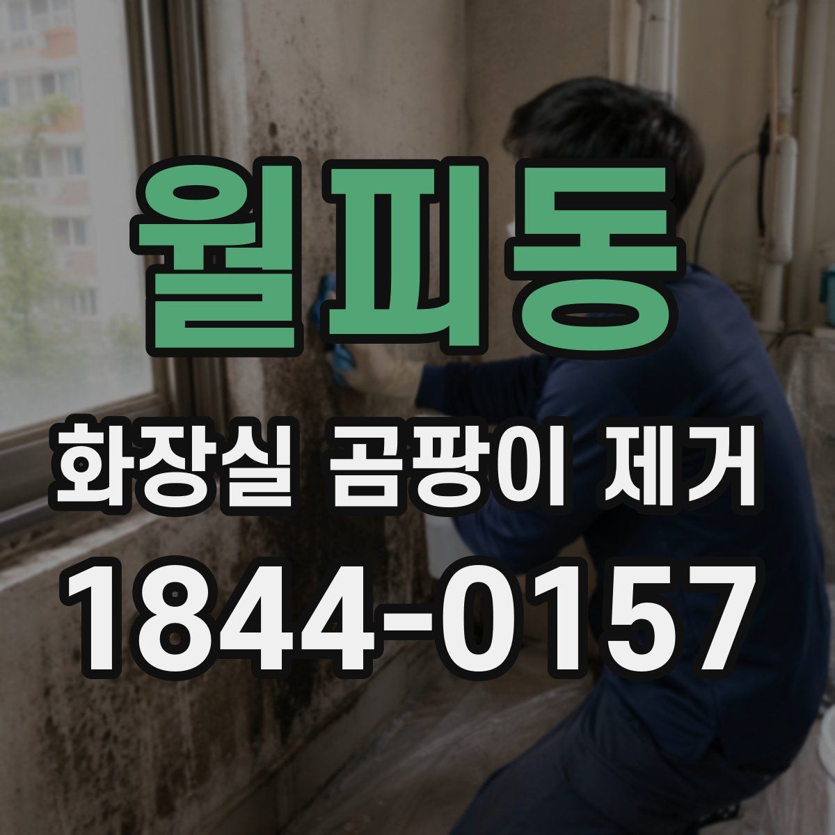 월피동 화장실 곰팡이 제거