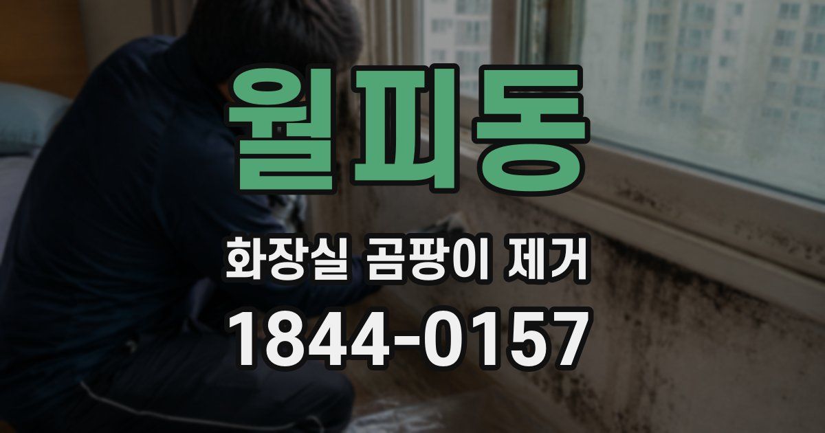 월피동 화장실 곰팡이 제거
