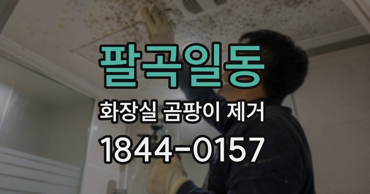팔곡일동 화장실 곰팡이 제거