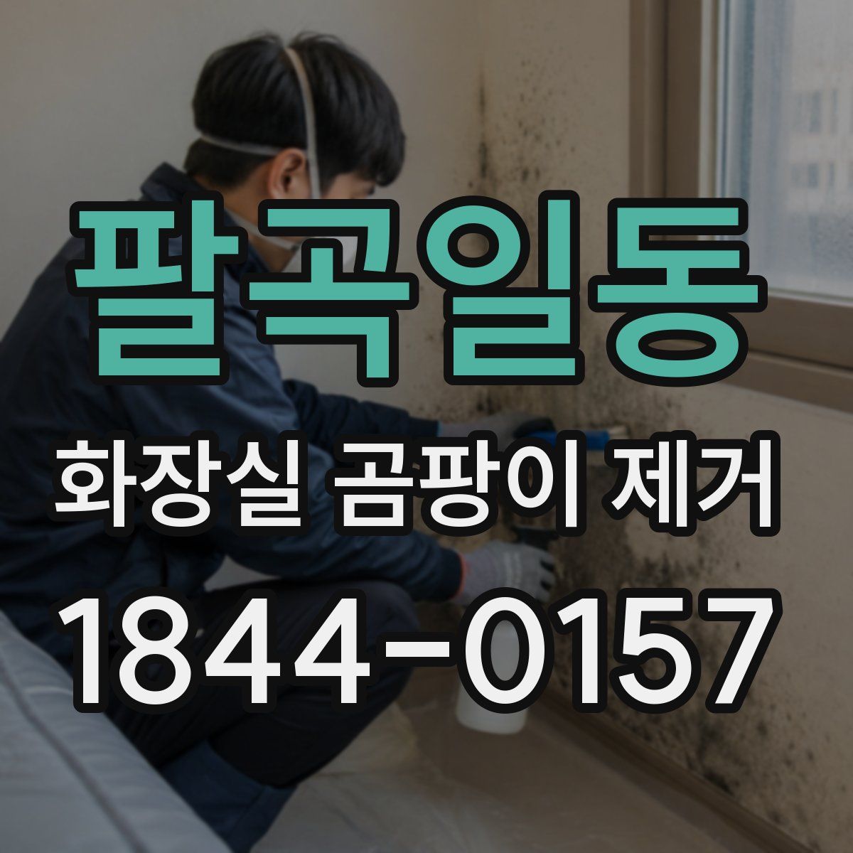 팔곡일동 화장실 곰팡이 제거