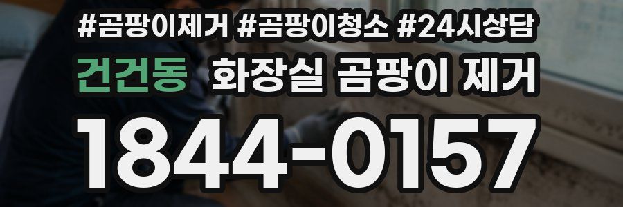 건건동 화장실 곰팡이 제거