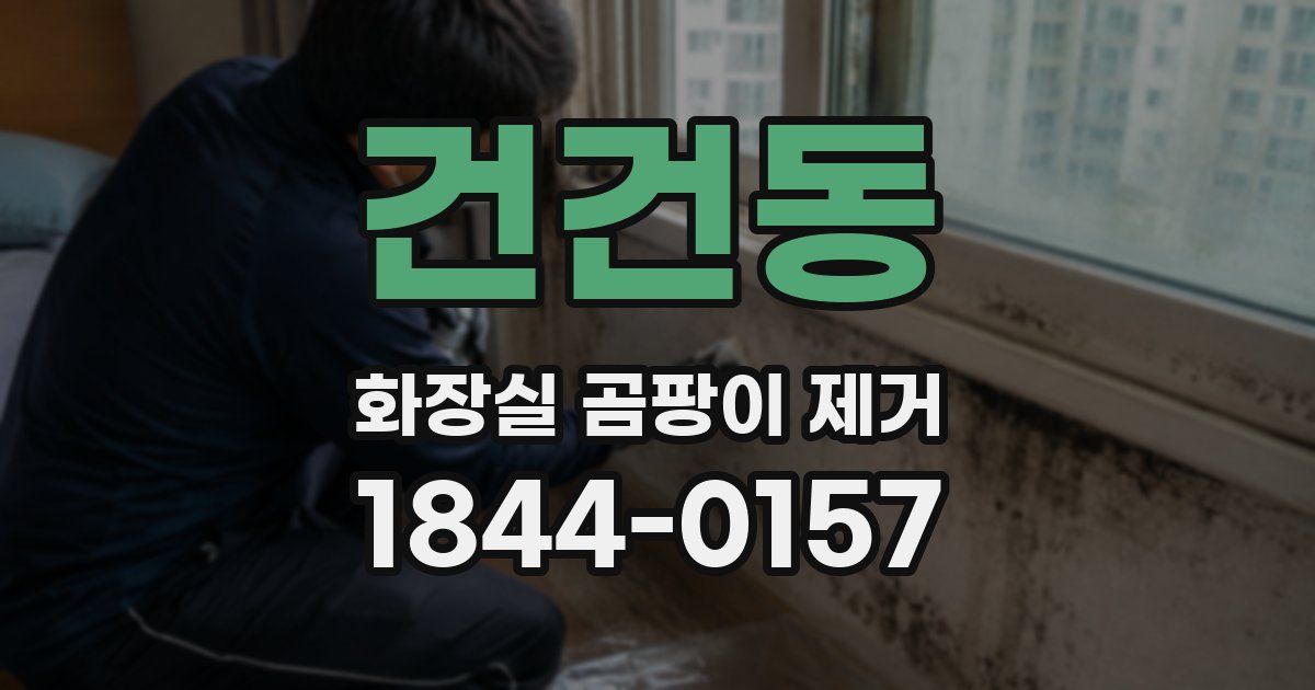 건건동 화장실 곰팡이 제거