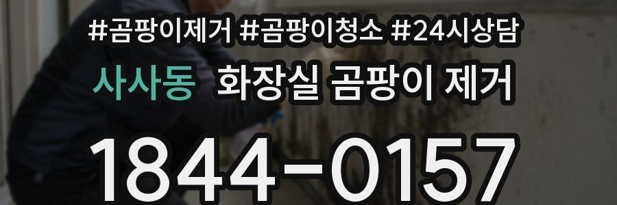 사사동 화장실 곰팡이 제거