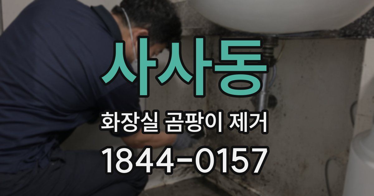 사사동 화장실 곰팡이 제거