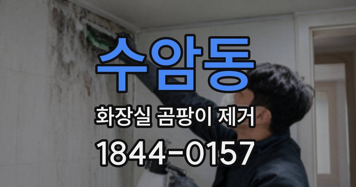 수암동 화장실 곰팡이 제거