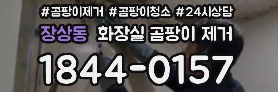 장상동 화장실 곰팡이 제거