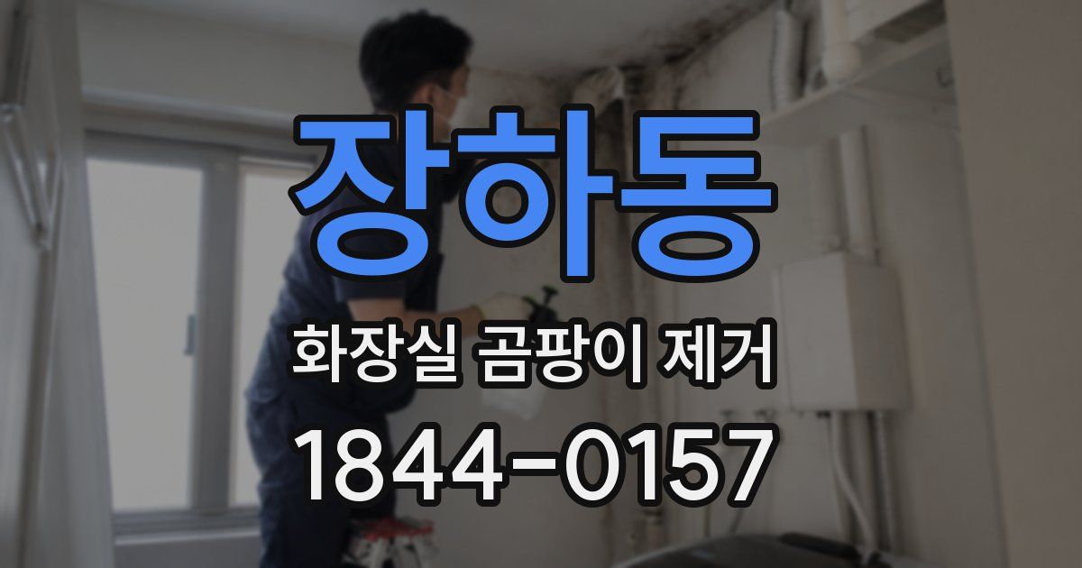 장하동 화장실 곰팡이 제거