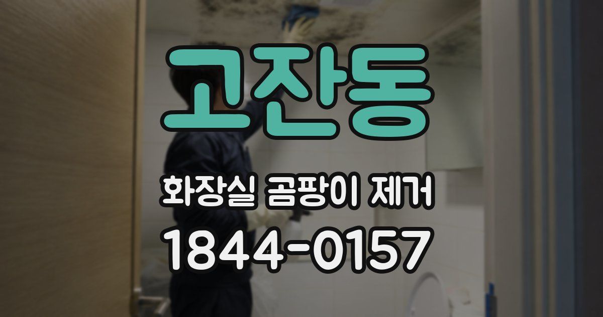 고잔동 화장실 곰팡이 제거