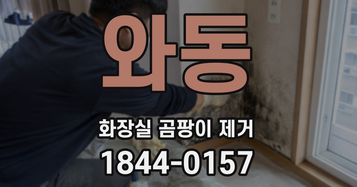 와동 화장실 곰팡이 제거