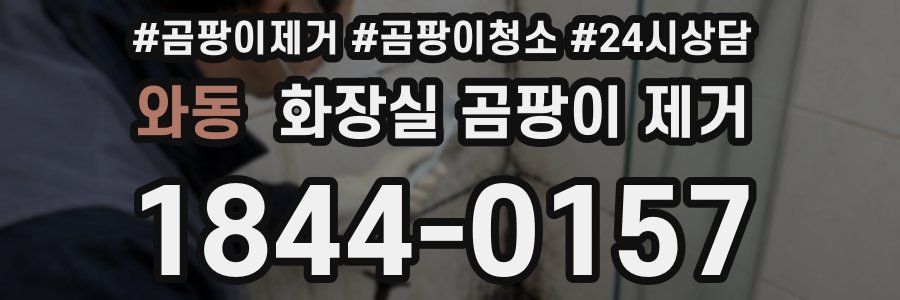 와동 화장실 곰팡이 제거