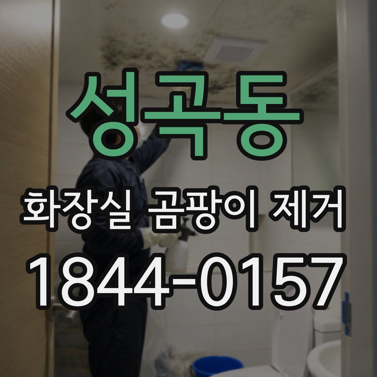 성곡동 화장실 곰팡이 제거