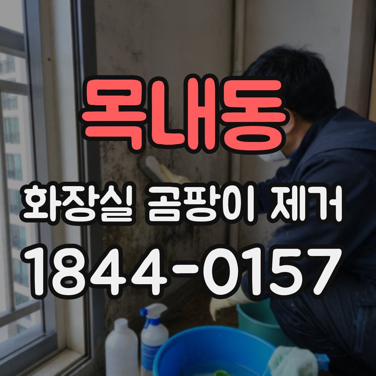 목내동 화장실 곰팡이 제거