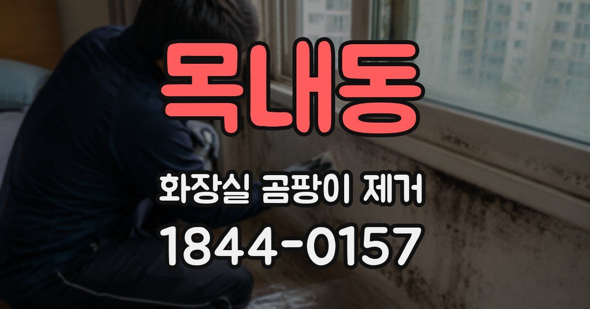 목내동 화장실 곰팡이 제거