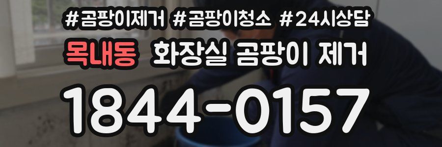 목내동 화장실 곰팡이 제거