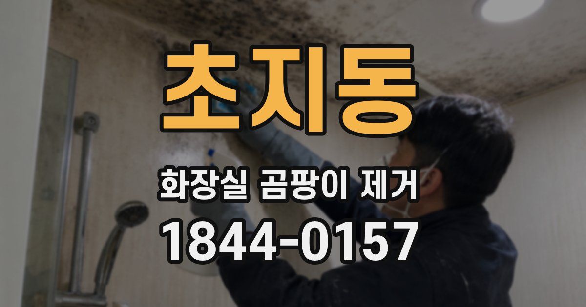 초지동 화장실 곰팡이 제거