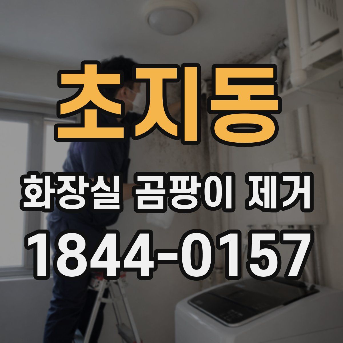 초지동 화장실 곰팡이 제거