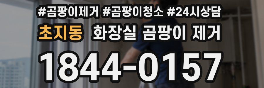 초지동 화장실 곰팡이 제거
