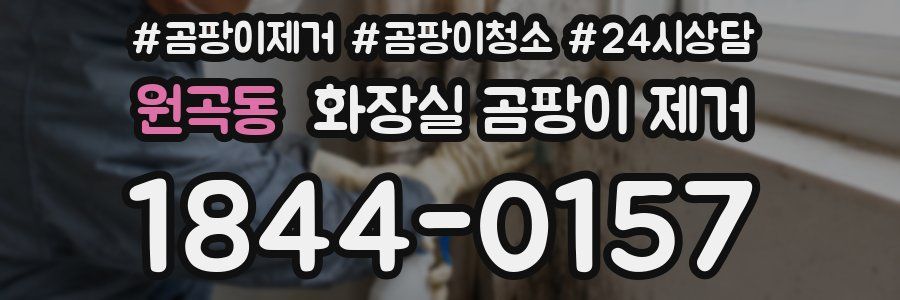 원곡동 화장실 곰팡이 제거
