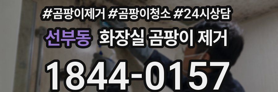선부동 화장실 곰팡이 제거