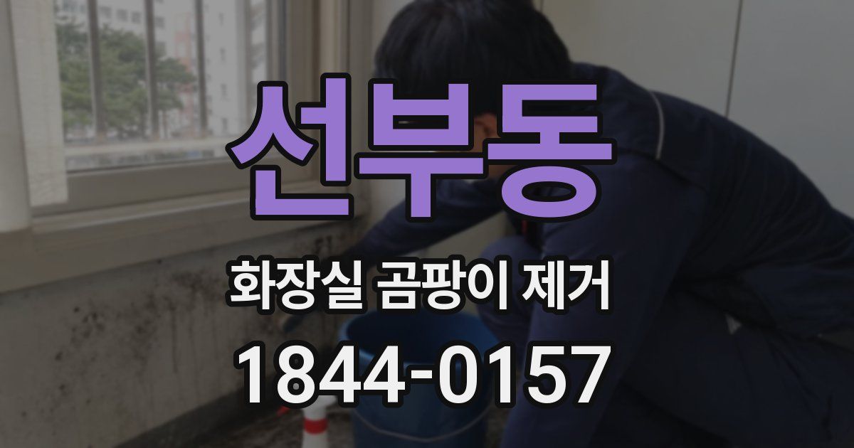 선부동 화장실 곰팡이 제거