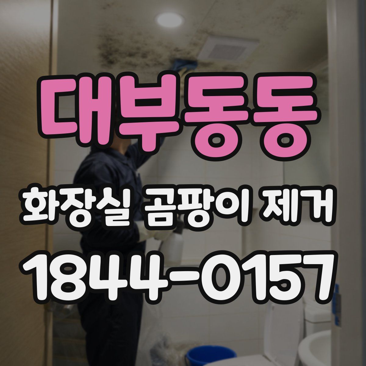 대부동동 화장실 곰팡이 제거