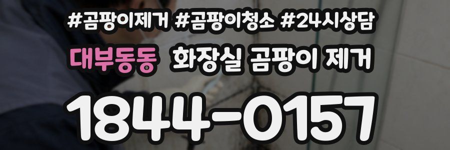 대부동동 화장실 곰팡이 제거