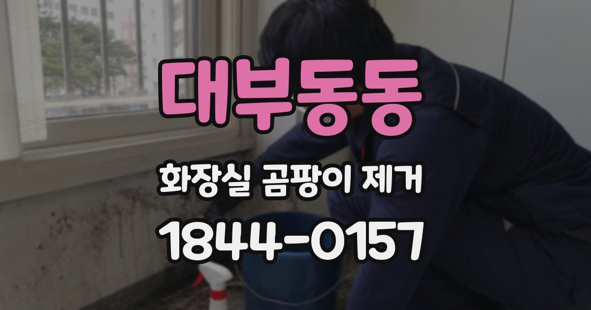 대부동동 화장실 곰팡이 제거