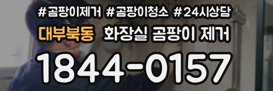 대부북동 화장실 곰팡이 제거